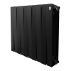 Радиатор Royal Thermo PianoForte 500 Noir Sable - 10 секц. (19 м²)